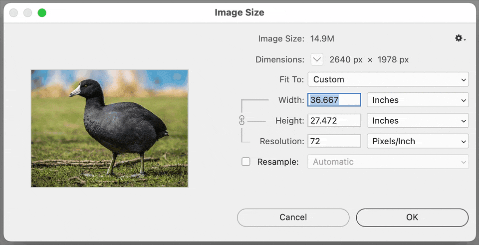 Photoshop Image Size change ppi Resample on.gif