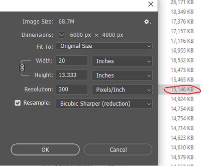 image size2.PNG