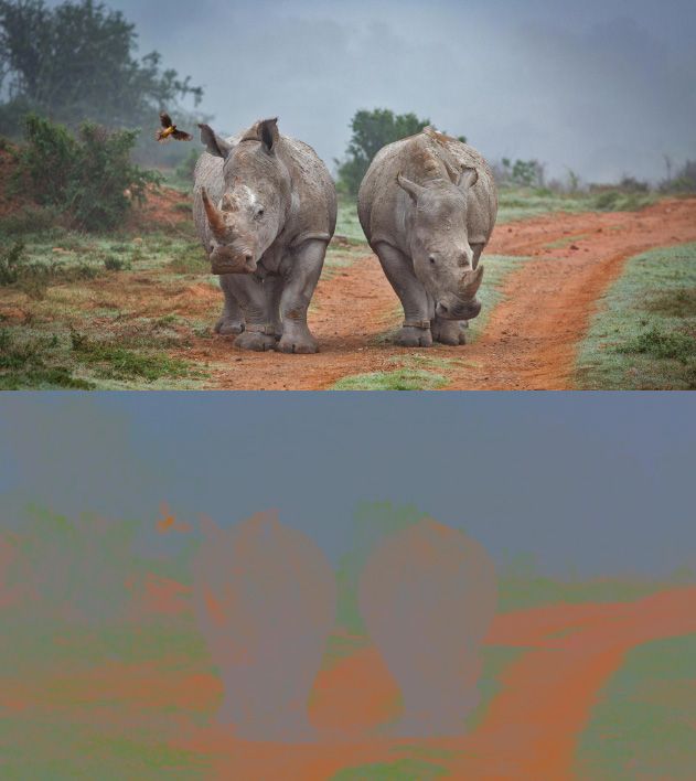 colour.jpg