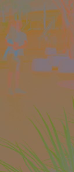 sample.jpg