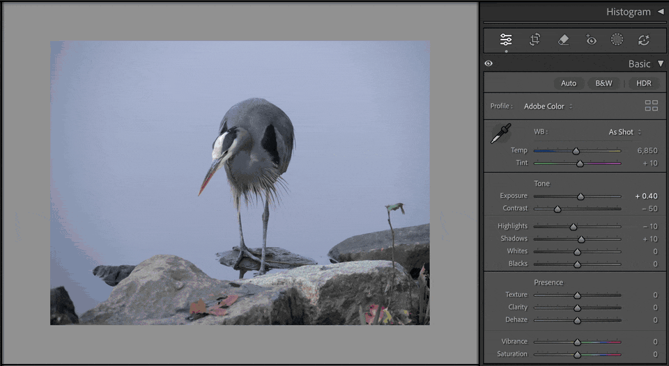Lightroom Classic beam of light behind subject.gif
