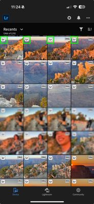 Screenshot 2025-09-03 at 11.24.26 AM.jpg