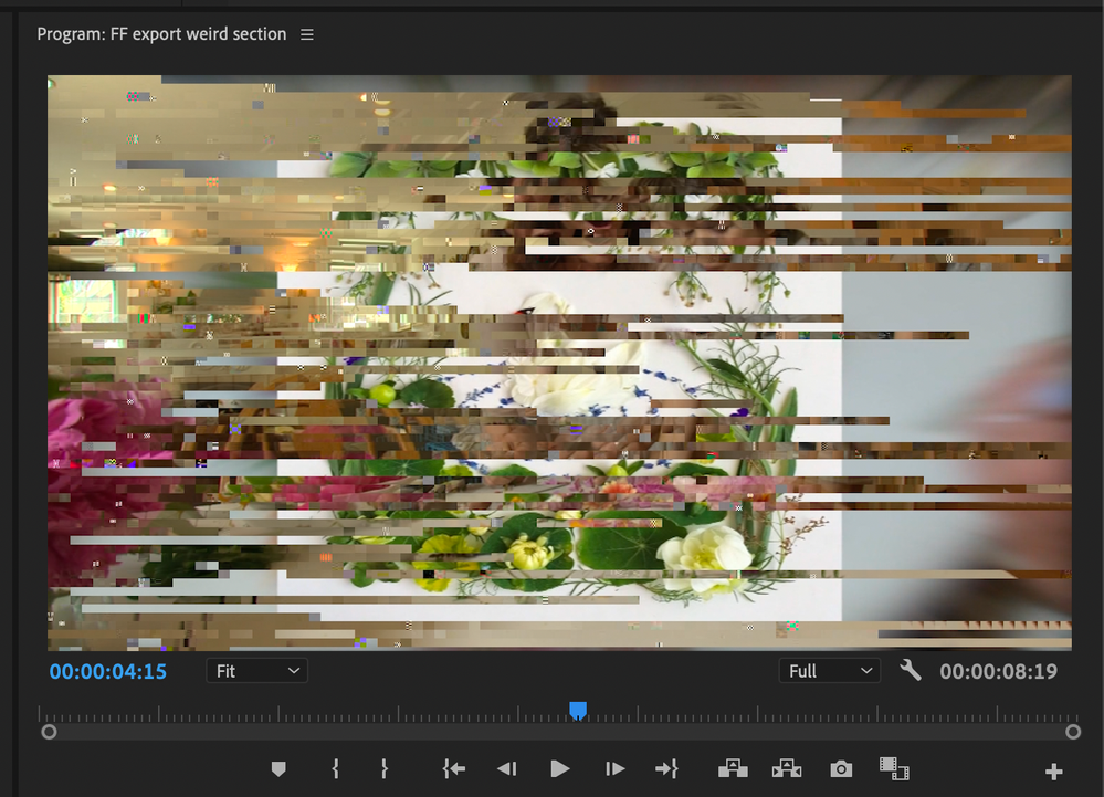 Premiere glitch.png