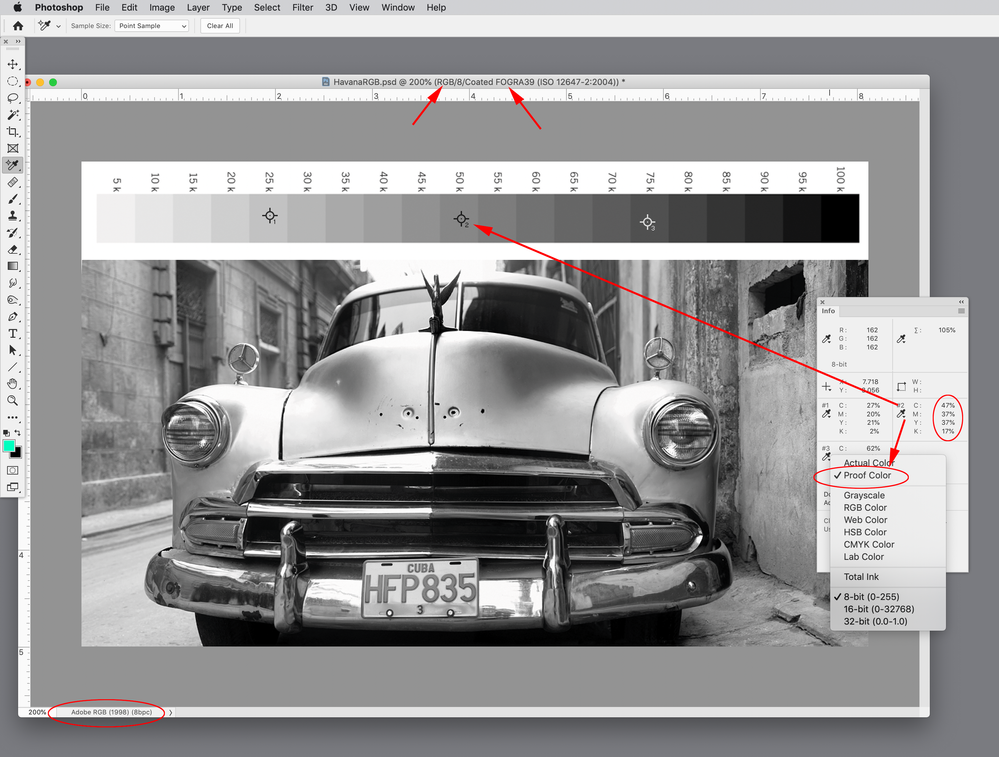 Screen Shot 22.png