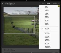 2025-09-16 16_01_36-Roberts Catalog-v14 - Adobe Photoshop Lightroom Classic - Develop.jpg