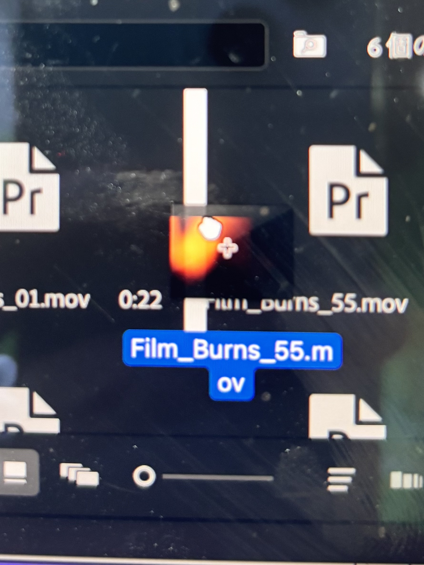 プロジェクトにmp4やmovファイルを読み込めない - Adobe Product