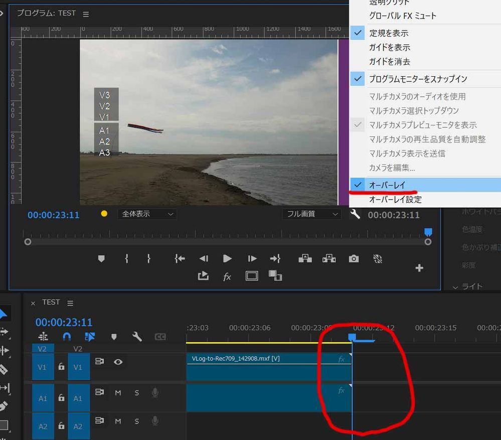 オーバーレイ表示をONにするとシーケンス終了インジケーター（左側の紫の帯）と共にラストフレームが表示
