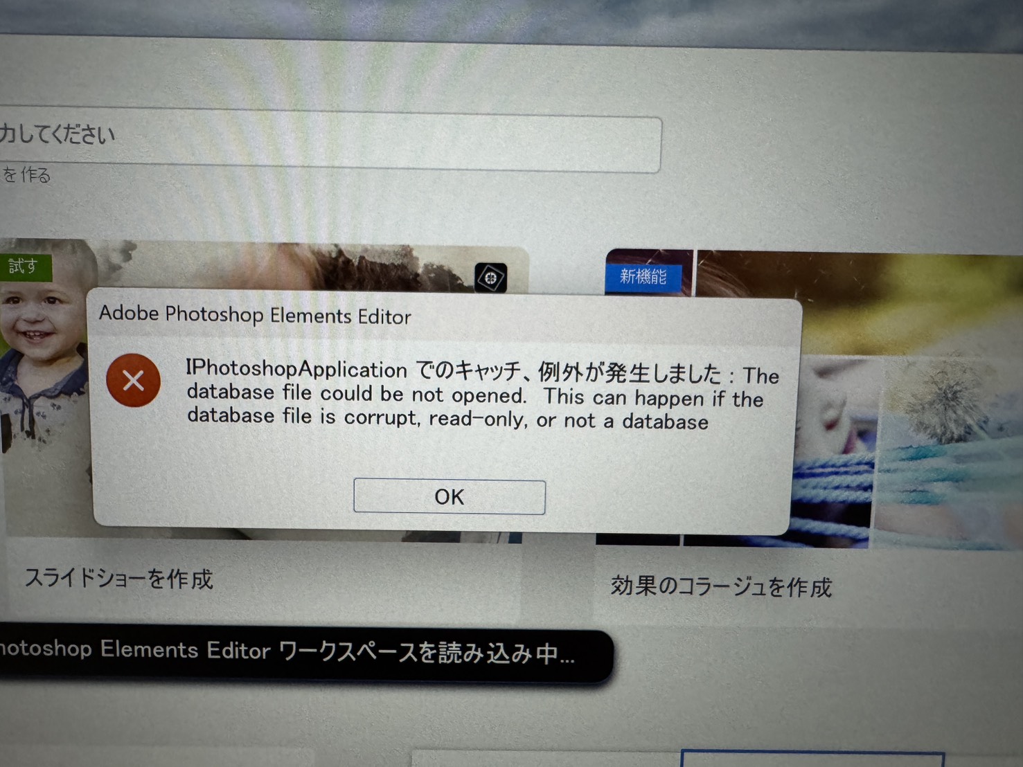 解決済み: Photoshop Elements 2026 アップデート版を購入インストール