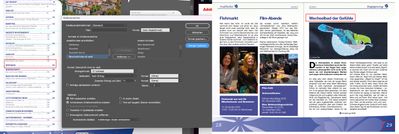 InDesign Problem Inhaltsverzeichnis.jpg