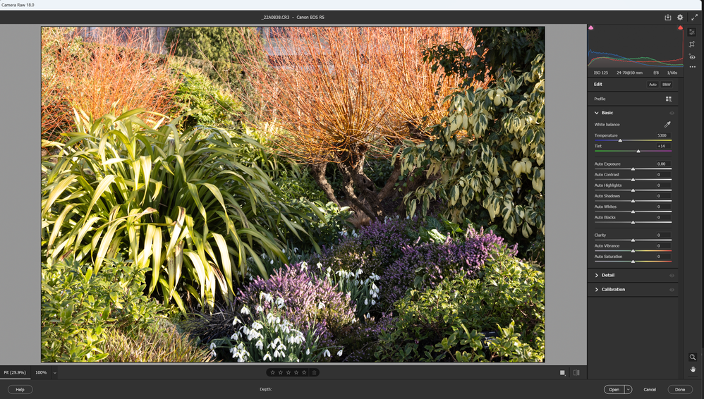 Screenshot 2025-10-29 123154.png