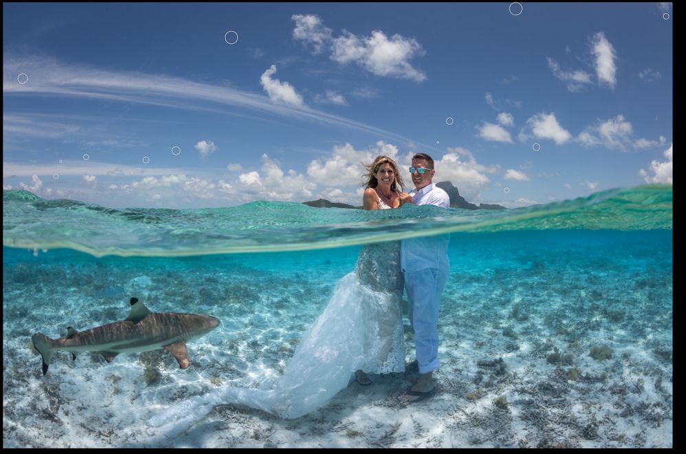 Screenshot 2025-11-05 at 12.33.03 PM.jpg