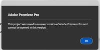 newer version of Adobe Premiere Pro.jpg
