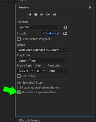 Pictured:  The "Move time to preview time" check box is enabled in the Preview panel.