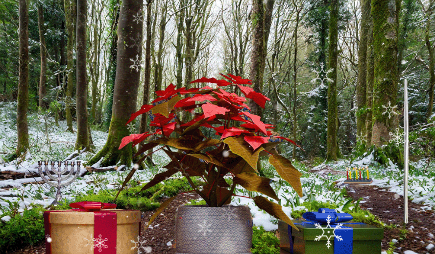 SFTW 256 Happy Holiday Season.gif