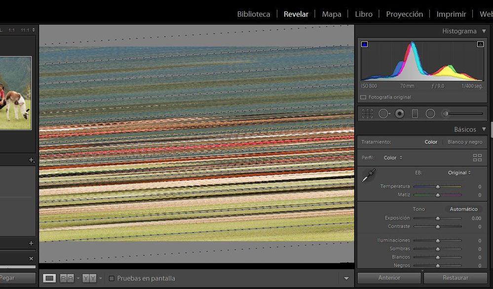 revelado ligthroom.JPG