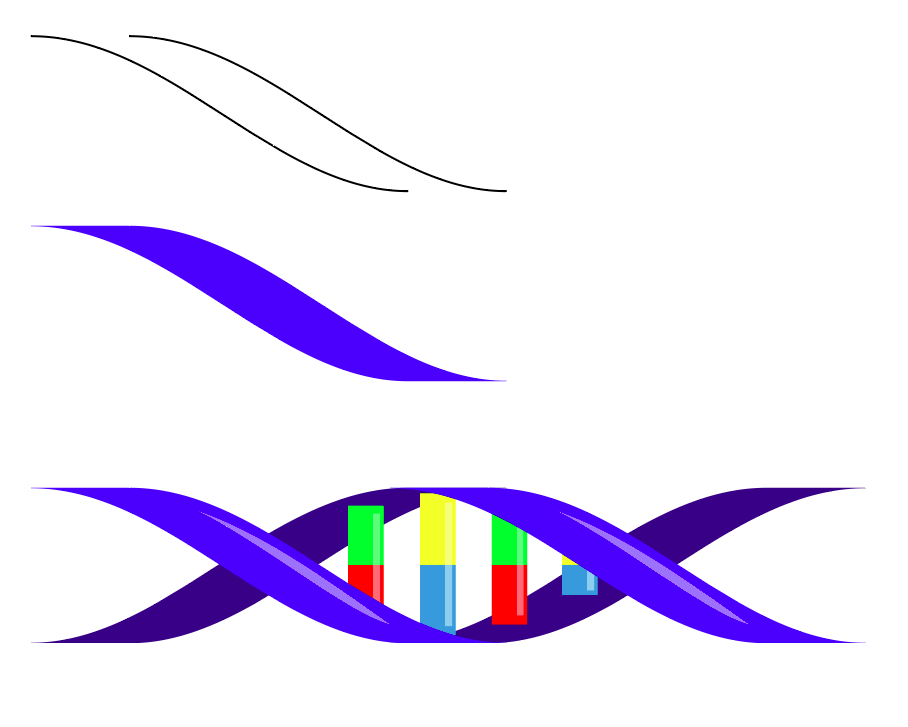 DNA.PNG