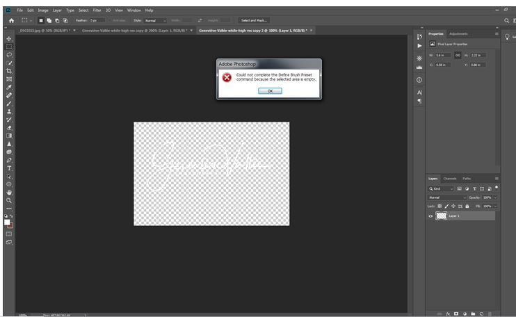 Capture Brush Preset.JPG