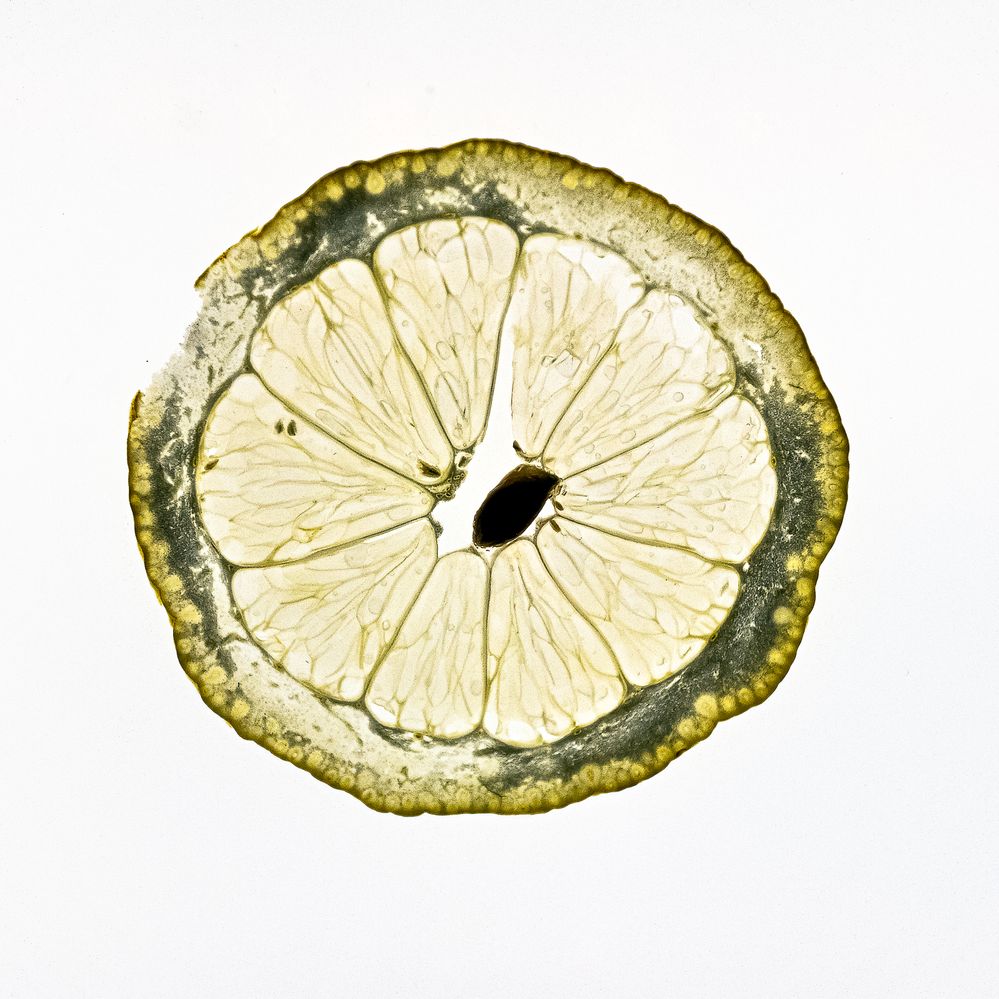 Translucent Lemon