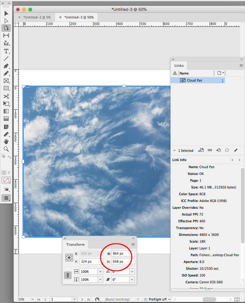 Screen Shot 3.png