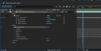 Solved Facial Tracking Detailed Features not appearing Adobe