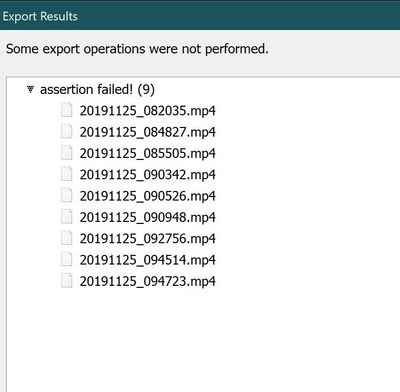 Ascertain Error seen when exporting video
