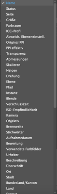 Indesign-Metadaten_optionen-1.png