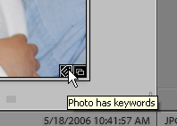 2019-10-07 22_20_46-Lightroom CC Classic Catalog - Adobe Photoshop Lightroom Classic - Library.png