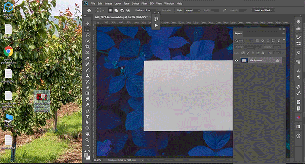 drag-and-drop-file-into-photoshop-window.gif