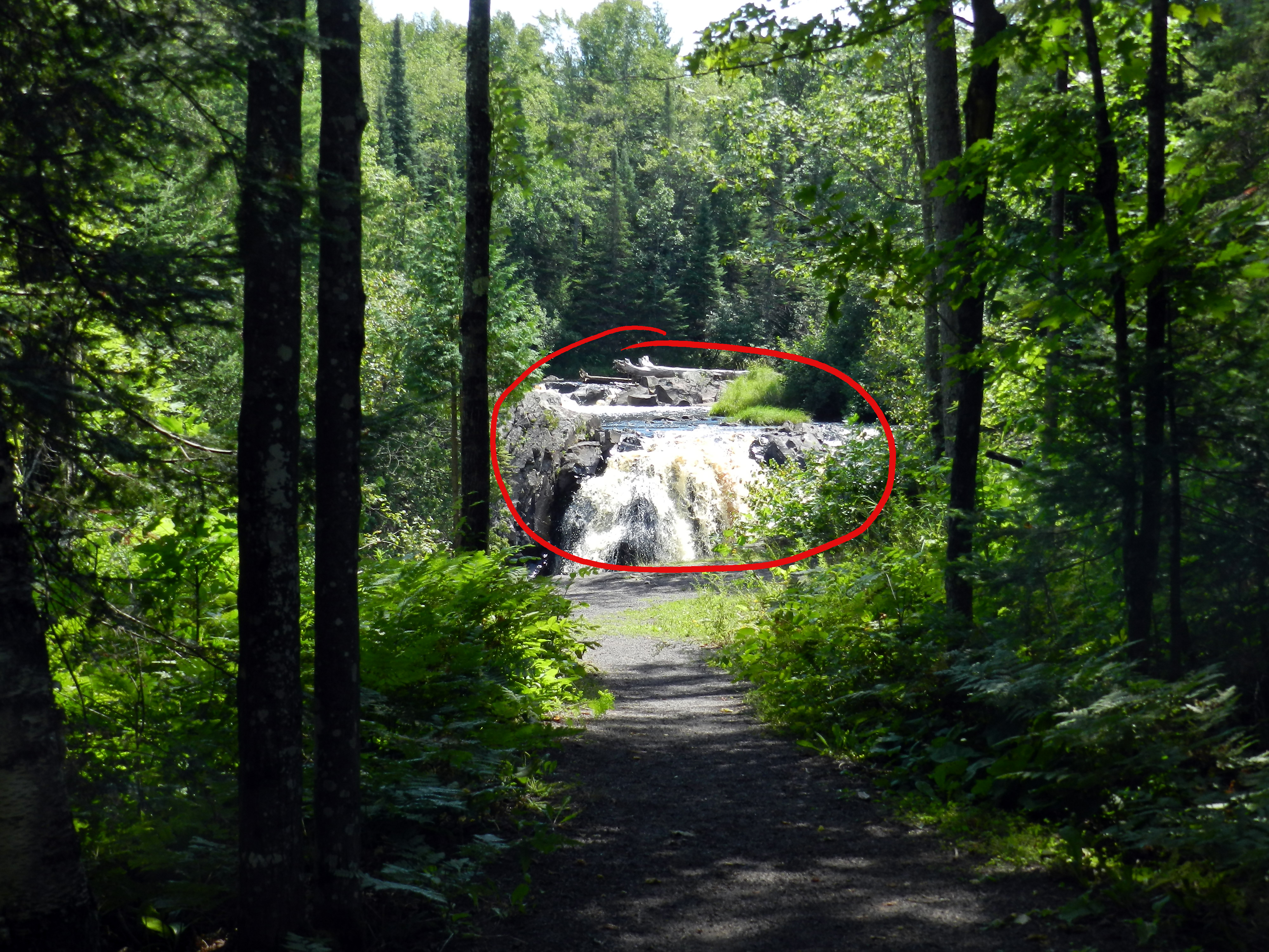 path-to-waterfall.jpg