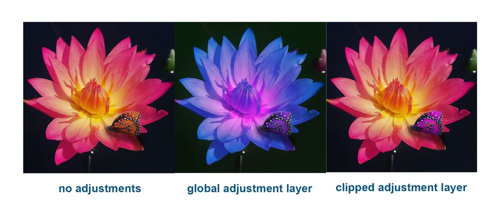flower global vs clipped adjustement.jpg flower global vs clipped adjustement.jpg